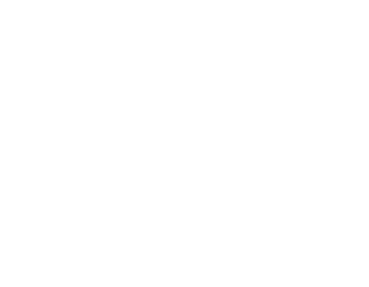 MZ REPORT
